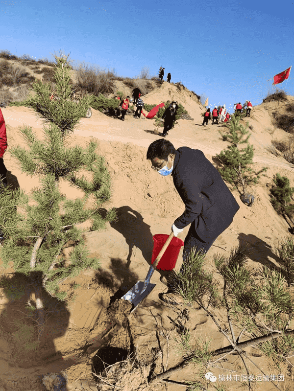 1739933162738092806.png 植樹2.png